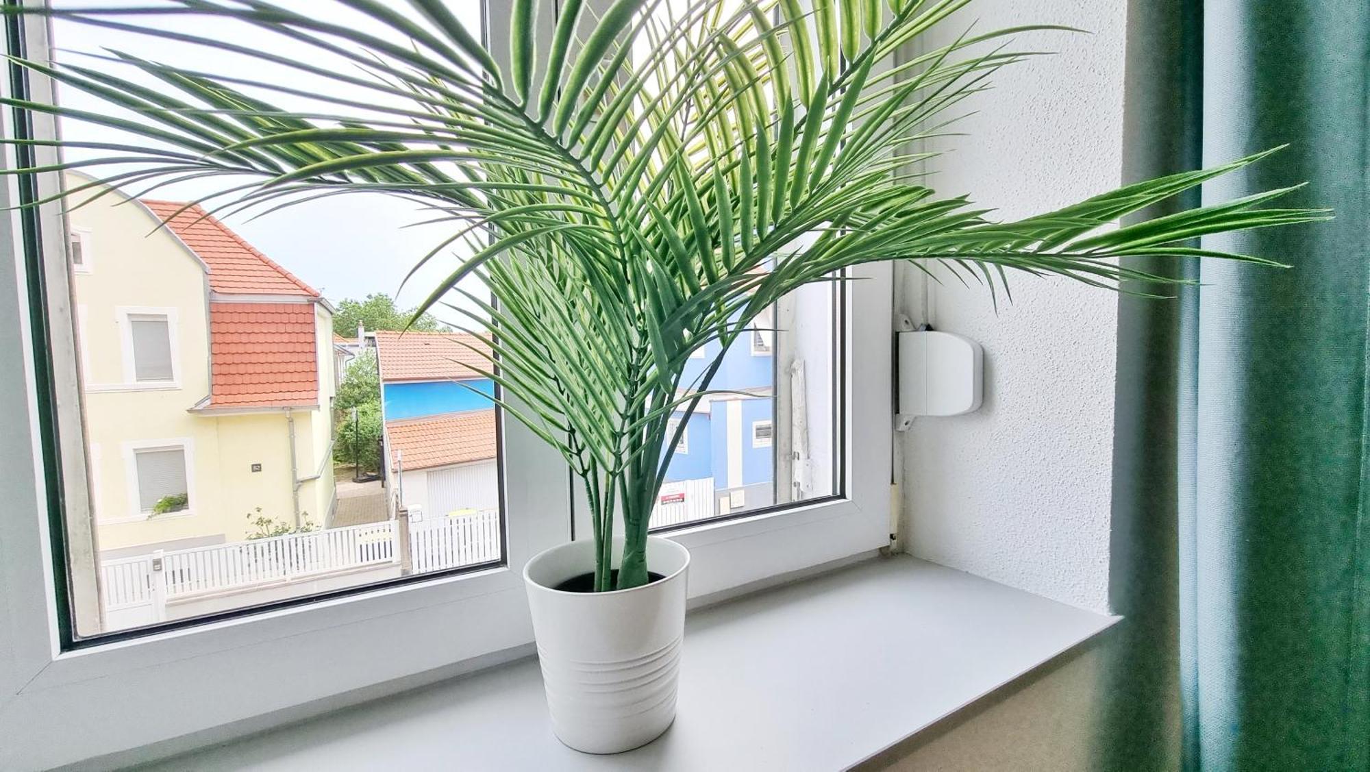 Le Triplex - 5 Chambres - 10 Pers- Fibre - Relax Bnb مُلووز المظهر الخارجي الصورة
